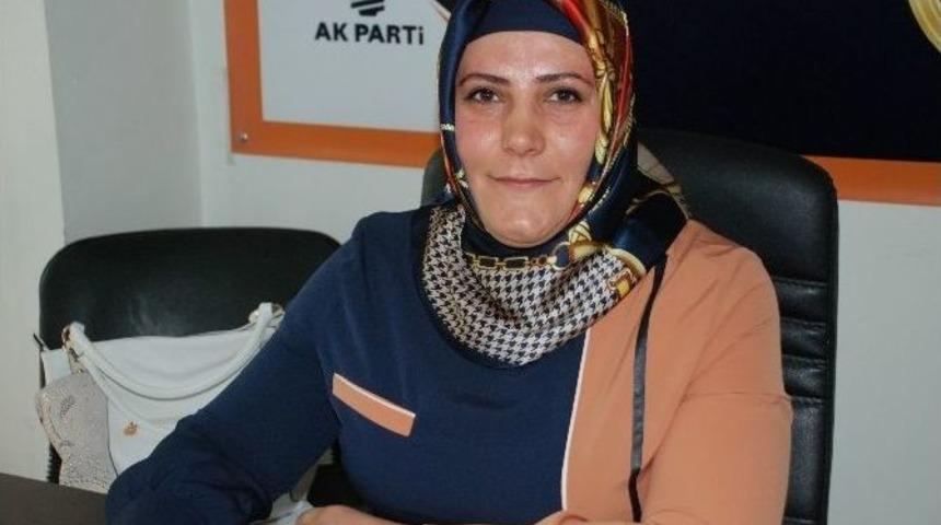 Yalar Se&ccedil;im &Ccedil;alışmalarına Devam Ediyor