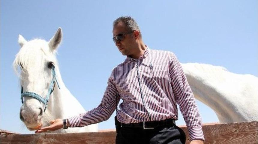 Hayvanat Bah&ccedil;esine 2 Milyon Ziyaret&ccedil;i