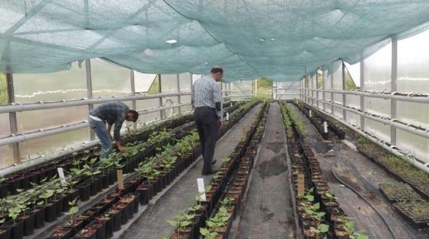 Fedakar &Ouml;ğrenciden &Ouml;rnek Davranış