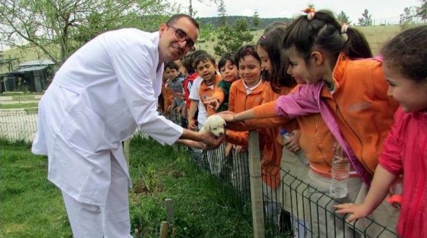 Ana Okulu &Ouml;ğrencileri Hayvan Barınağında