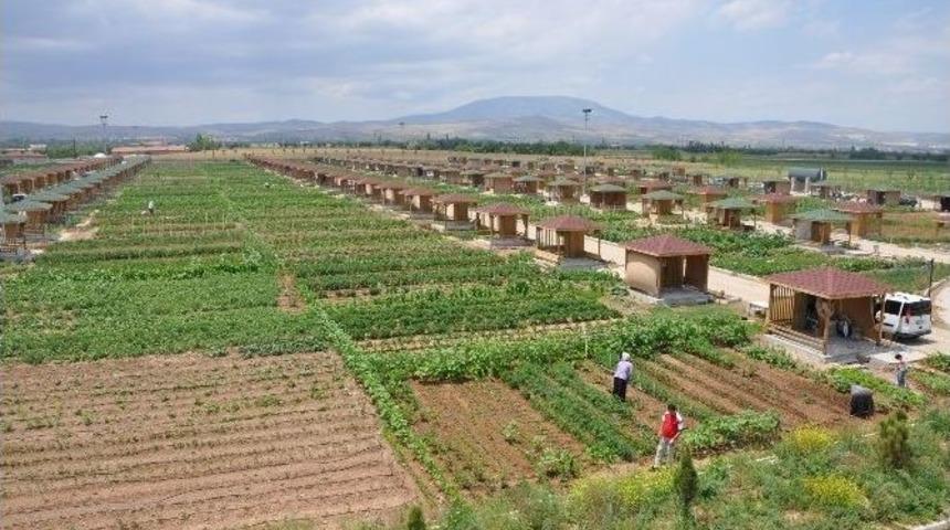 Meram&rsquo;da Hobi Bah&ccedil;elerinde Ekim Zamanı