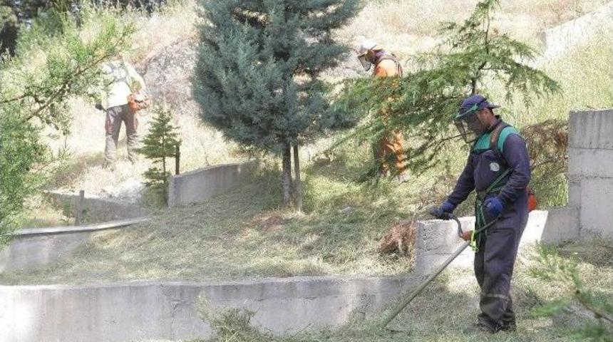 Başiskele Mezarlıkları Bakıma Alındı