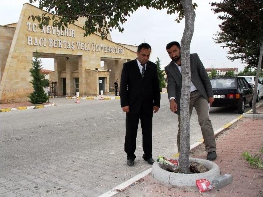 Agd&rsquo;den &Uuml;niversitede D&uuml;zenlenen Bahar Şenliklerine Tepki