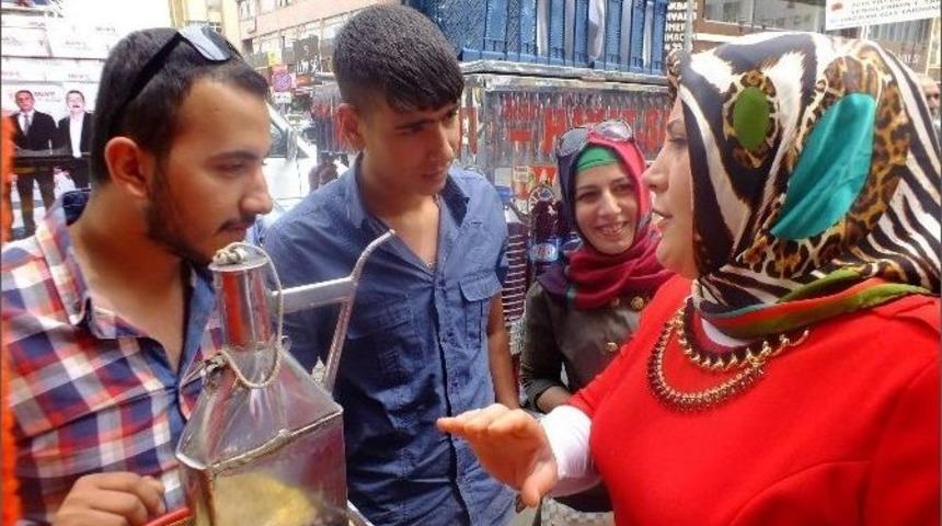 Yalar Se&ccedil;im &Ccedil;alışmalarına Devam Ediyor