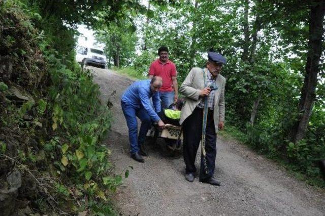 Giresun Valiliği Önünde Eylem Yaptı, Engelli Oğlu Için Yol Istedi