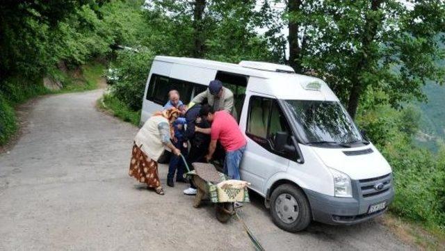 Giresun Valiliği Önünde Eylem Yaptı, Engelli Oğlu Için Yol Istedi