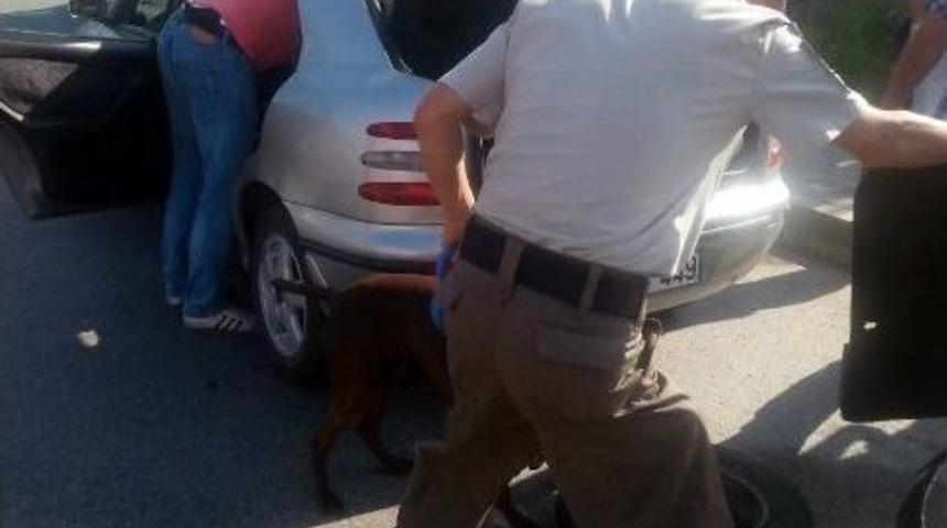 Ara&ccedil;taki Eroini Narkotik K&ouml;peği Buldu