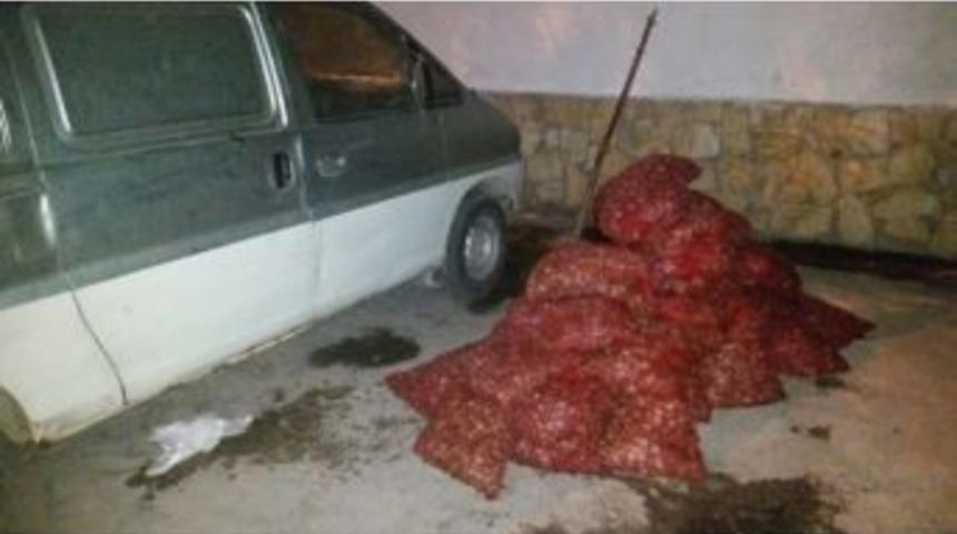 Edirne&rsquo;de 1 Ton Ka&ccedil;ak Midye Ele Ge&ccedil;irildi