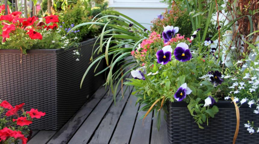 Balkonunuz yaza hazır mı?