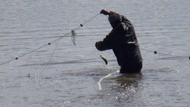 Kars’ta Balık Avı Yasağına Uyan Yok!