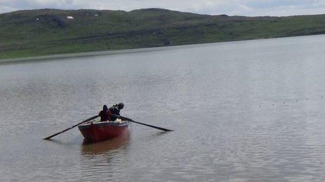 Kars’ta Balık Avı Yasağına Uyan Yok!