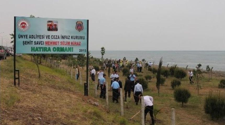 Şehit Savcı Kiraz İ&ccedil;in &Uuml;nye&rsquo;de Hatıra Ormanı