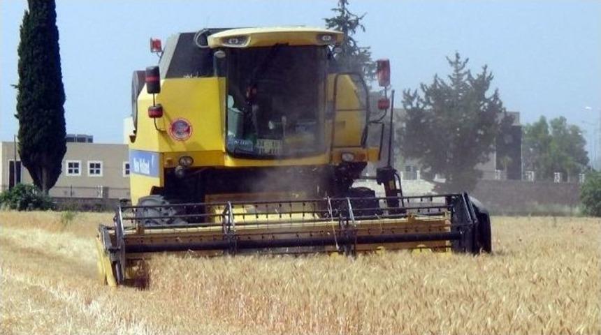 Hatay&rsquo;da Buğday Hasadı Başladı