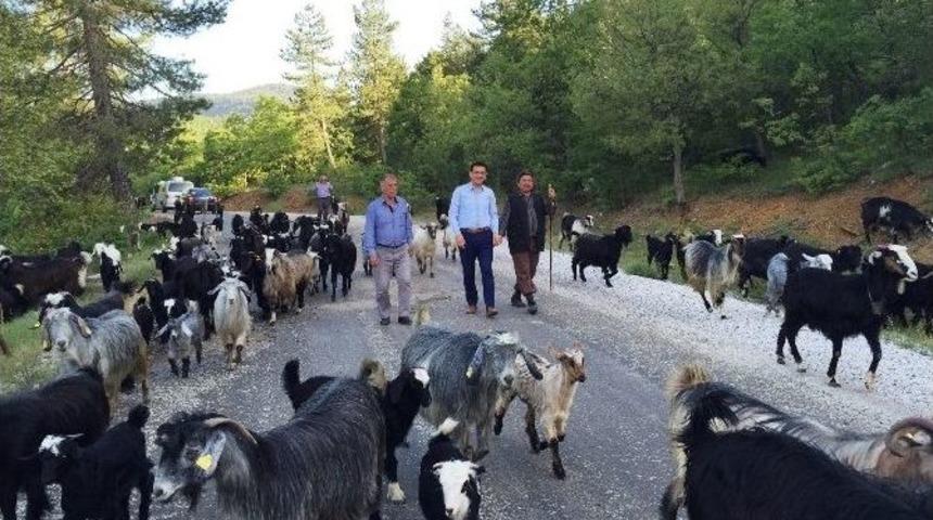 Ak Parti’li Uslu, “bize Her Yer Antalya”