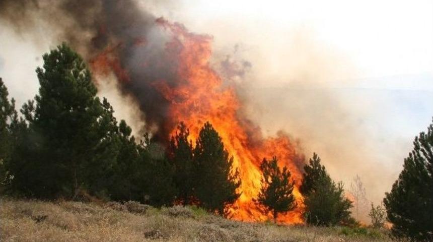 Bartın Polisi Orman Yangınlarına Dikkat &Ccedil;ekti