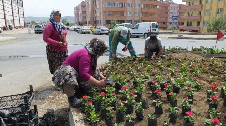Burhaniye&rsquo;yi Kadınlar G&uuml;zelleştiriyor
