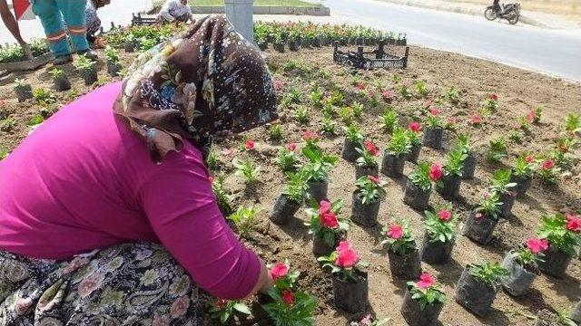 Burhaniye’yi Kadınlar Güzelleştiriyor