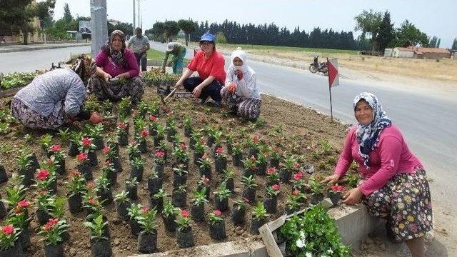 Burhaniye’yi Kadınlar Güzelleştiriyor