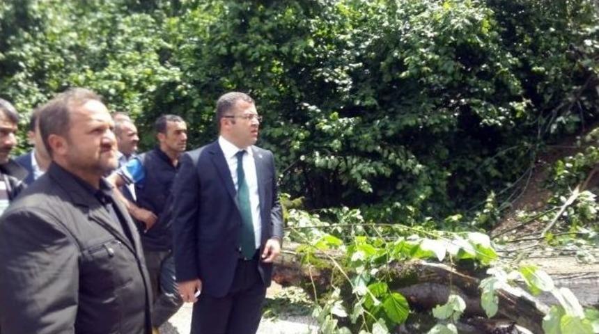 Hikmet Keskin, Heyelan B&ouml;lgesini İnceledi