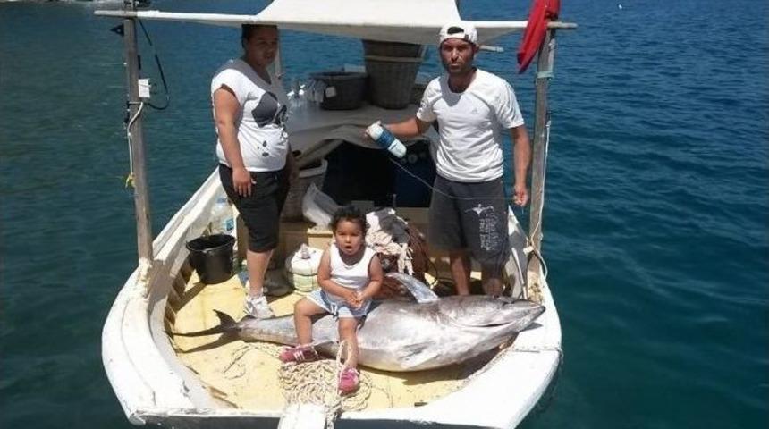 Şanslı Balıkçının Oltasına 60 Kiloluk Orkinos Takıldı