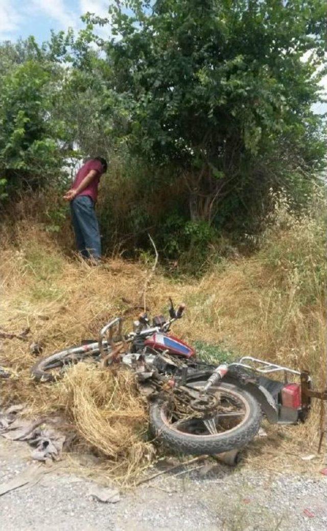 Yol Kenarındaki Ağaca Çarpan Motosikletli Öldü