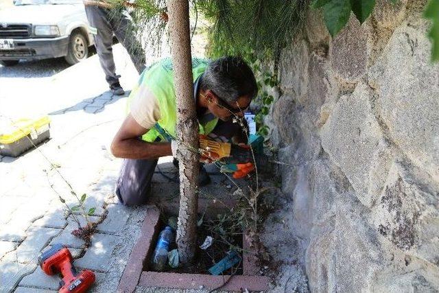 Bodrum’da Sokakta Yaşayan Hayvanlar Susuz Kalmayacak