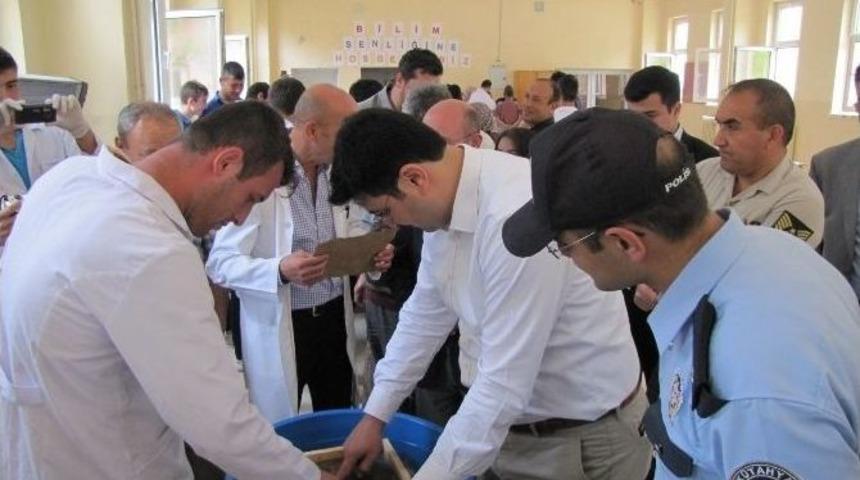 Kaymakam Savran, Doğal Y&ouml;ntemle Kağıt İmal Etti