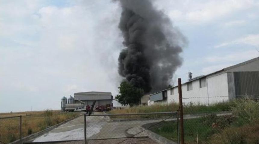 Kemalpaşa'da Tavuk &Ccedil;iftliğinde Yangın