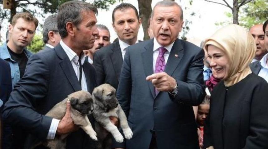 Erdoğan: Bir Pop Star &Ccedil;ıkardılar, Iyi Saz &Ccedil;alıyormuş (3)