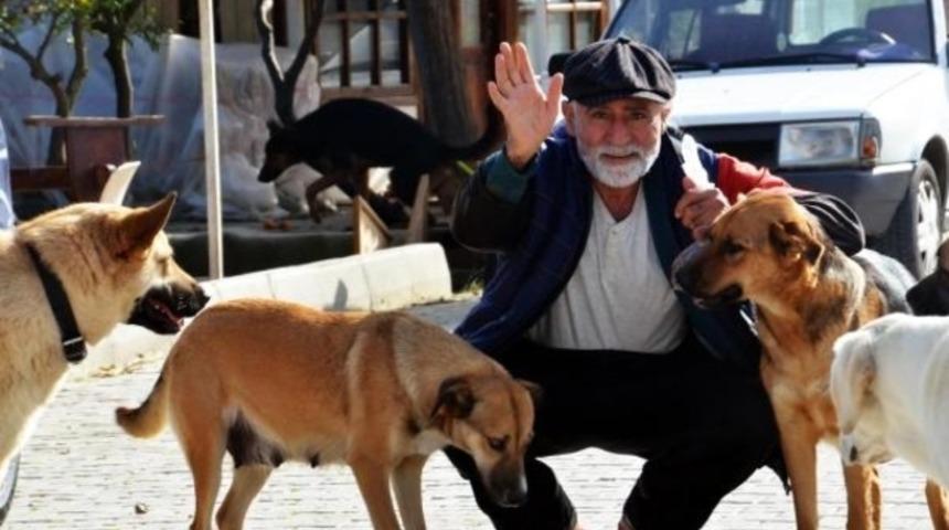 Tatil i&ccedil;in geldi, sokak hayvanları i&ccedil;in bir daha d&ouml;nmedi