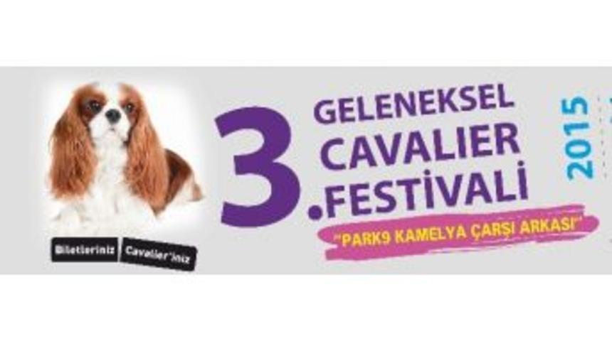 En B&uuml;y&uuml;k Cavalier Festivali