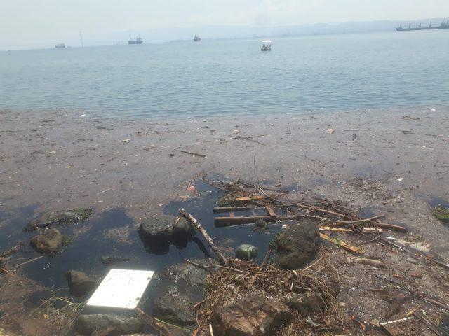 Sağanak sonrası Eskihisar sahilinde kirlilik