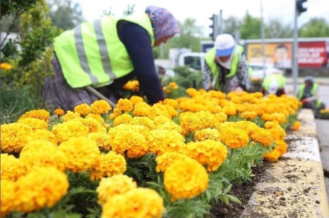 Yaz &Ccedil;i&ccedil;ekleri Toprakla Buluştu