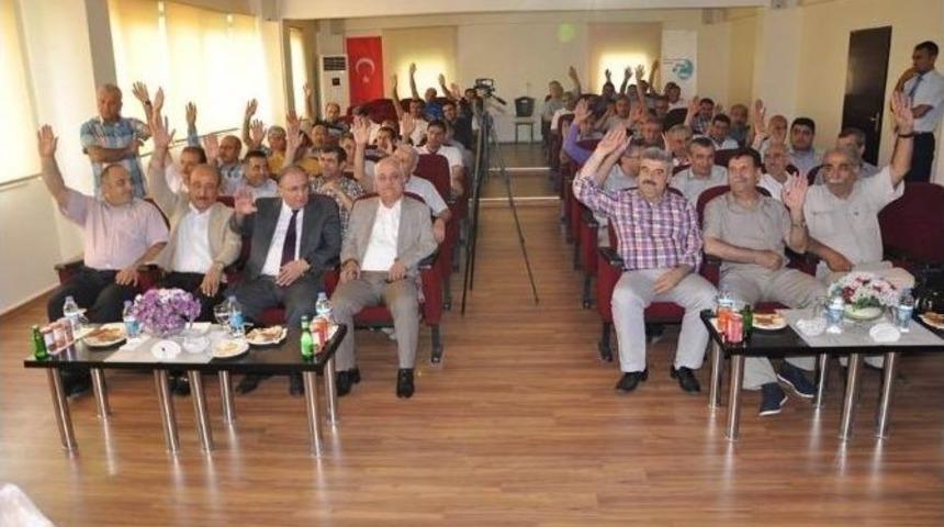 Dsispor&rsquo;da Yeni Başkan B&ouml;lge M&uuml;d&uuml;r&uuml; Algın Oldu