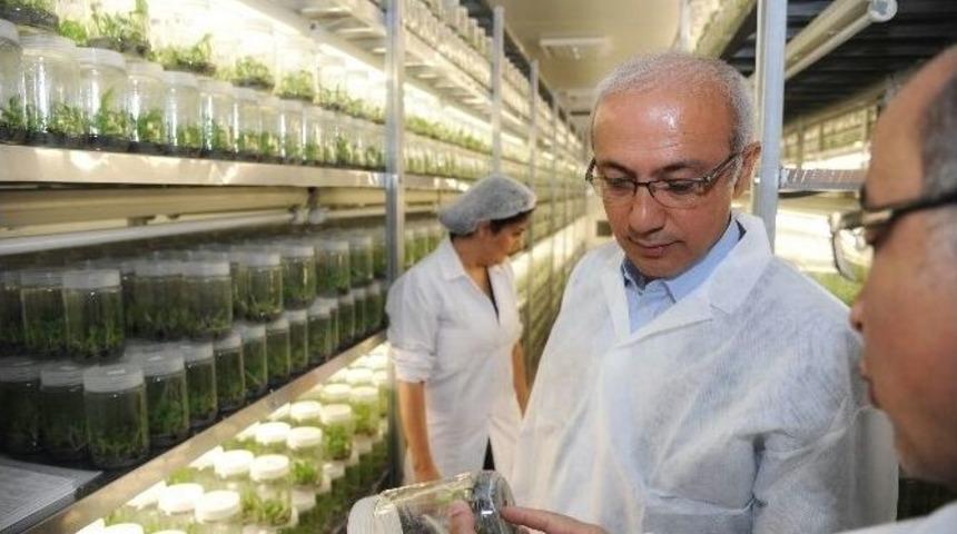 (özel Haber) Lütfi Elvan Tekno Kentte İncelemelerde Bulundu