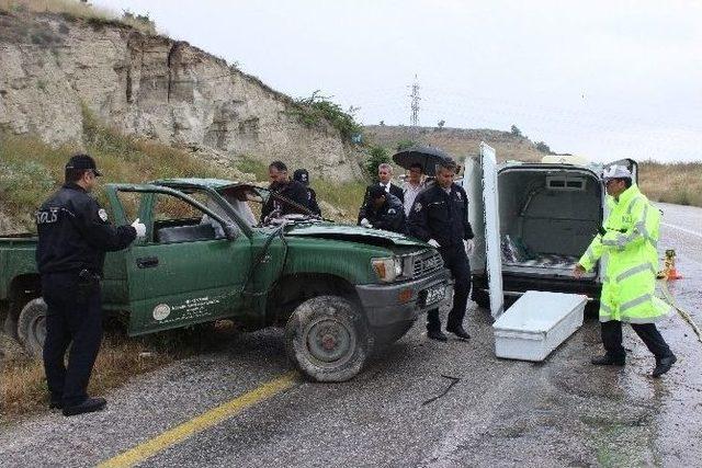 Denizli’de Veteriner Hekim Kaza Kurbanı