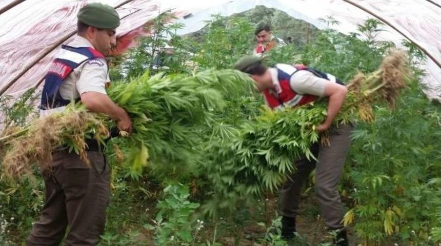 Bah&ccedil;eden Ne Domates Ne De Salatalık &Ccedil;ıktı