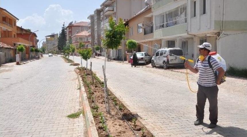 B&ouml;ceklere Karşı İla&ccedil;lama &Ccedil;alışmaları Devam Ediyor