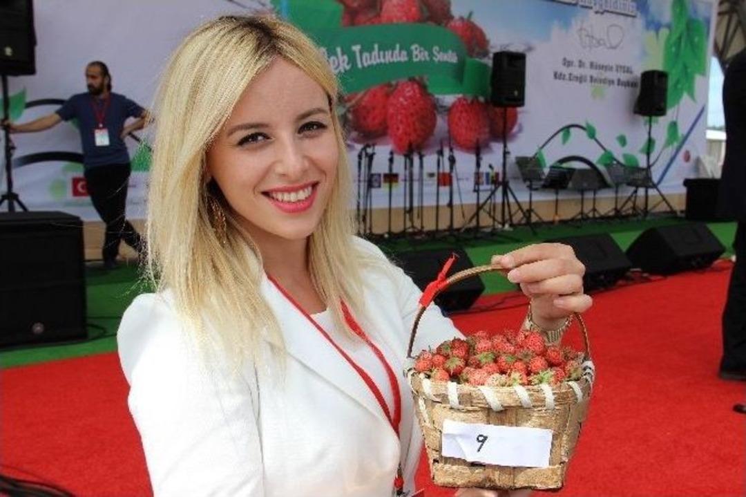 Osmanlı &Ccedil;ileği &Uuml;reticilerine Teşvik İ&ccedil;in Altın Dağıtıldı