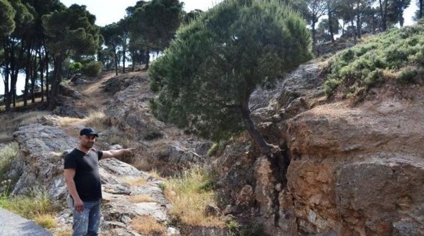 İnatla Hayata Tutunuyor