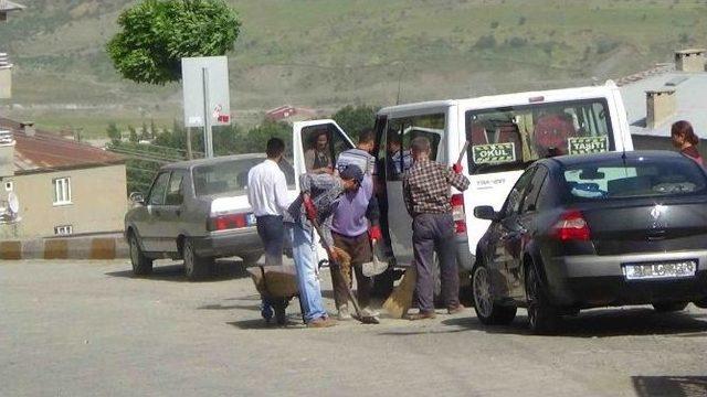 Eşbaşkan Baran Çöp Seferberliği Başlattı