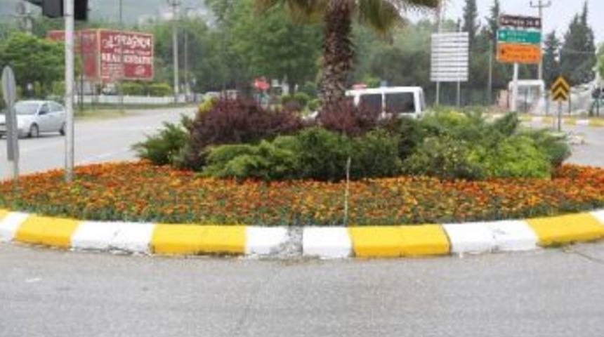 Yeşil Sapanca&rsquo;da &Ccedil;i&ccedil;ekler A&ccedil;ıyor