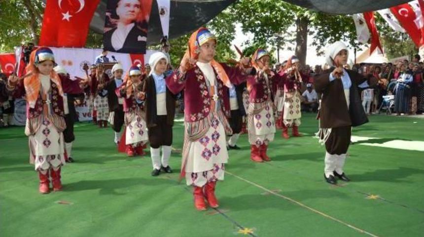 53'&uuml;nc&uuml; Mut Kayısı Festivali Başladı