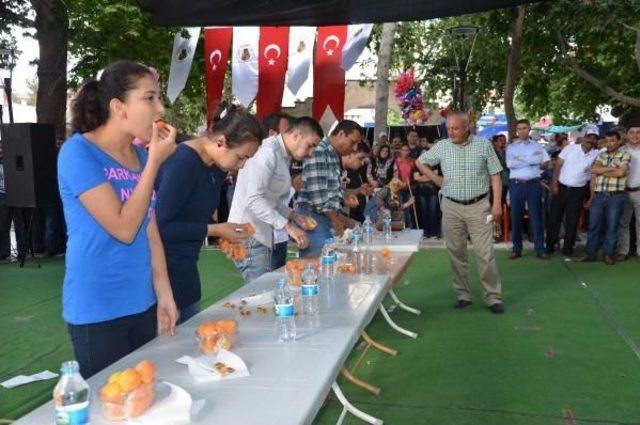 53'üncü Mut Kayısı Festivali Başladı