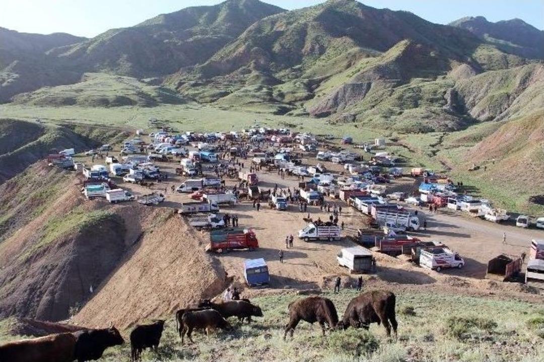 Canlı Hayvan Pazarı Ateş Pahası