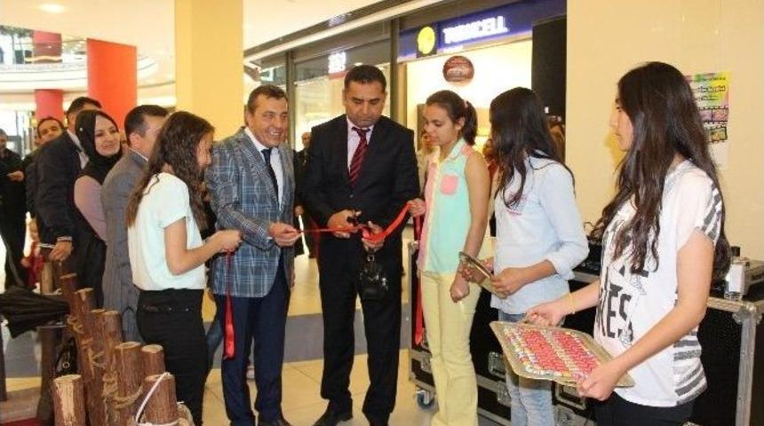 Melek Yerli&rsquo;nin &Ouml;ğrencileri Resim Sergisi A&ccedil;tı