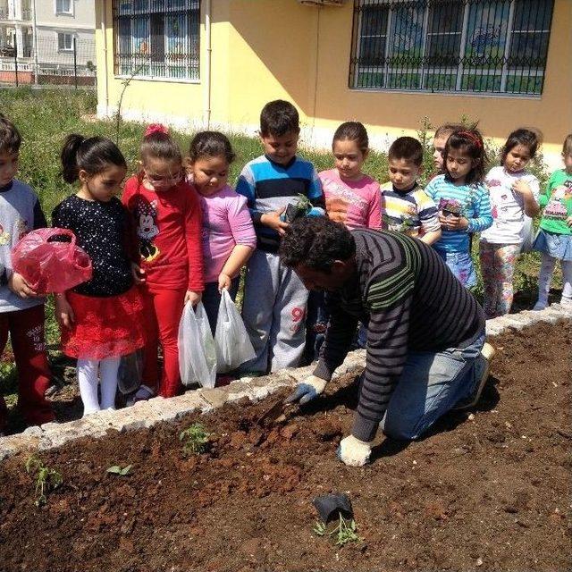 Didim Anaokulu Öğrencileri Organik Bahçe Oluşturdu