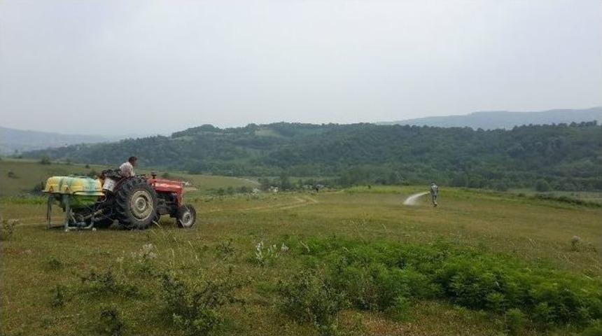 Bartın&rsquo;da &Ccedil;ekirgeyle M&uuml;cadeleye Başlandı