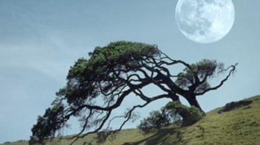 Vakıa Suresinin mucizevi sırları!