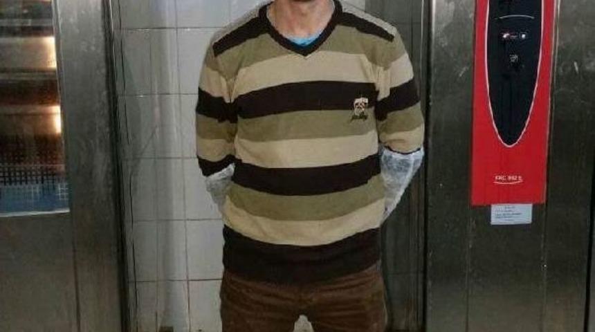 D&ouml;v&uuml;p Ormanda &Ouml;l&uuml;me Terk Ettiler